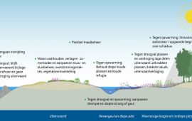Bron: onderzoeksrapport Klimaateffecten op riviernatuur (OBN Natuurkennis, 2022) De belangrijkste mitigerende maatregelen bij klimaatverandering op riviernatuur