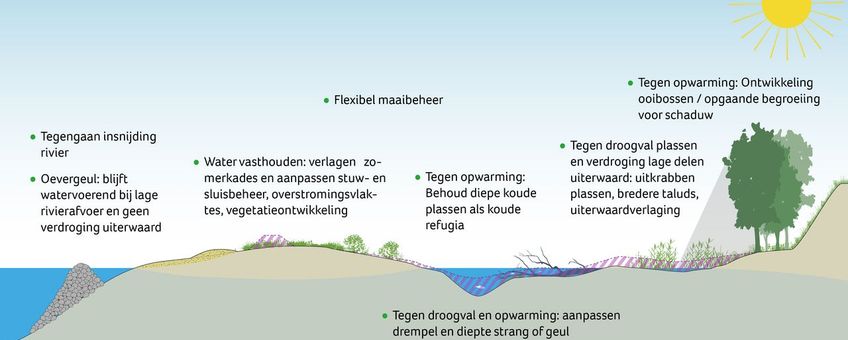 De belangrijkste mitigerende maatregelen bij klimaatverandering op riviernatuur