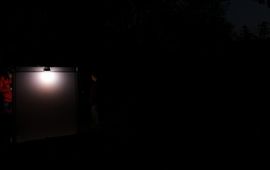 Kars Veling licht op natuur - primair
