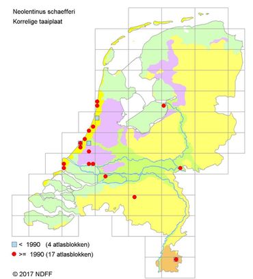 Verspreidingskaartje Korrelige taaiplaat