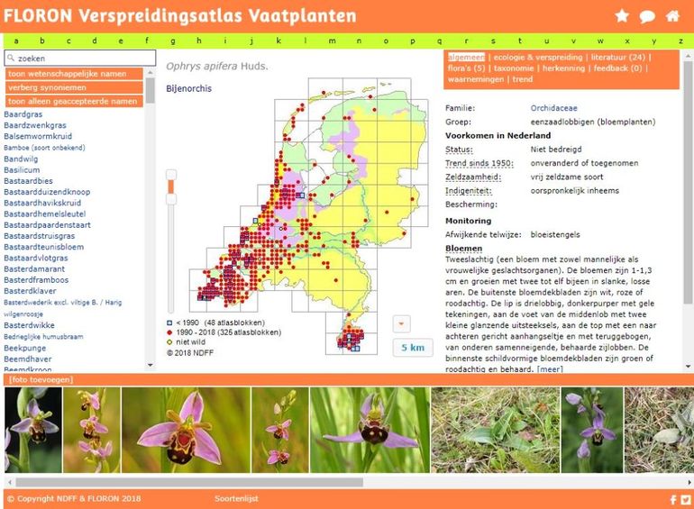 Verspreidingskaart van Bijenorchis in de Verspreidingsatlas