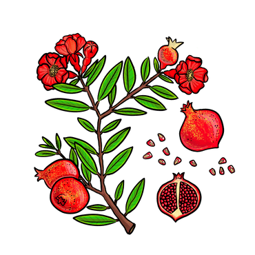 Granaatappel