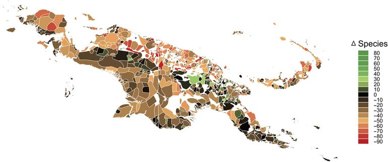 Illustratie uit het onderzoek die de veranderingen in aantallen nuttige plantensoorten per taalgebied laat zien