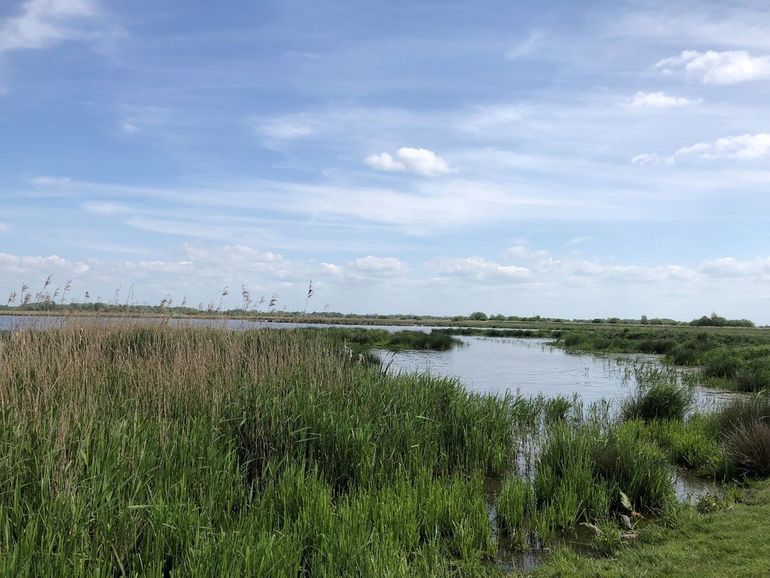 't Roegwold, gemeente Midden-Groningen