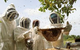Vogelbescherming Nederland Imkers van Birds, Bees & Business