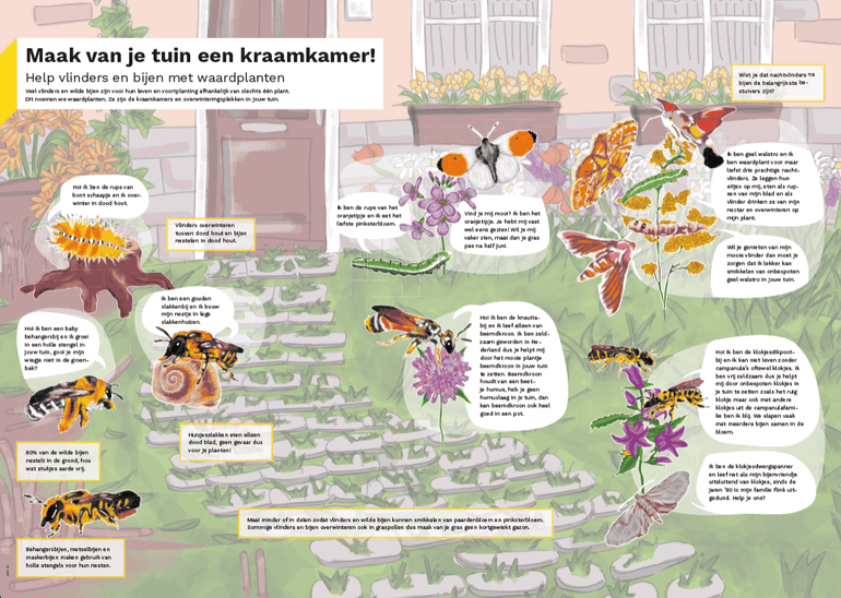 Waardplantenposter, te downloaden via de website van Natuur voor Elkaar