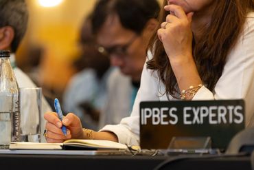 IPBES experts bespreken de rapporten