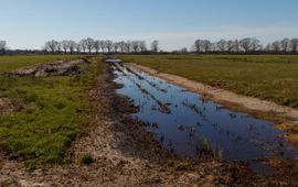 Gijs Clements Vereniging Natuurmonumenten De Hilver watergreppel zomer - eenmalig gebruik