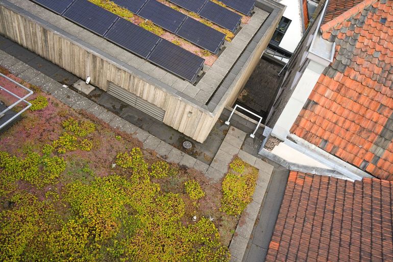 Bovenaanzicht van een groen dak met zonnepanelen bij Nobel in Leiden