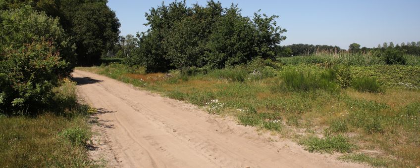 Waardevol zandpad met brede bermen bij Heesch