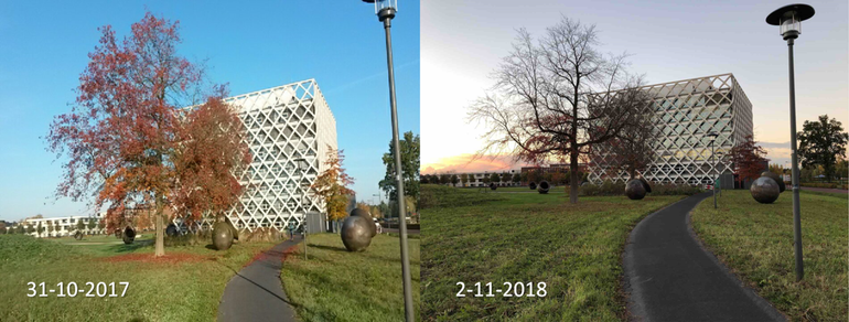 Moseik op campus Wageningen University