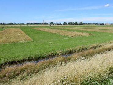 Gefaseerd maaien in de Enge Wormer