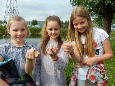 Het feestelijk loslaten van in de klas opgekweekte koolwitjes is een hoogtepunt