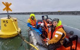 Onderzoek grote trekvissen bij Haringvlietsluizen (exclusief eenmalig WUR)