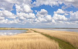 Staatsbosbeheer In 2018 is de Bochtjesplaat zo ingericht dat het natter blijft. Met succes.