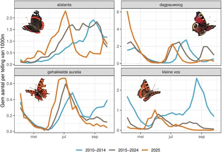 Het aantal vlinders op de routes van het Meetnet Vlinders, 2025 vergeleken met twee eerdere perioden