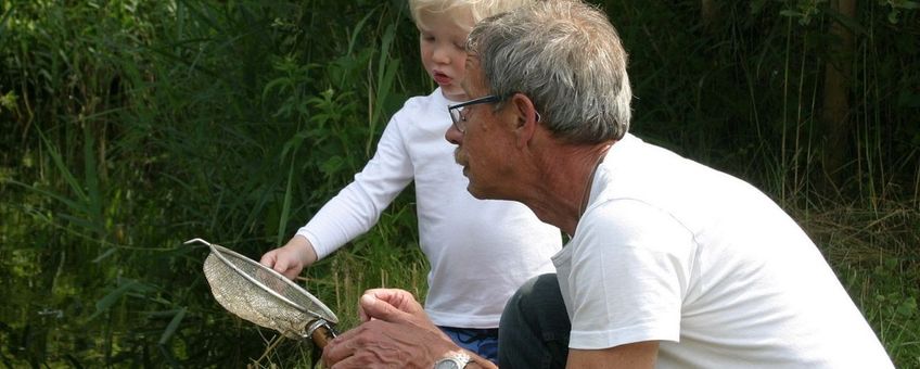 Waterdiertjes zoeken