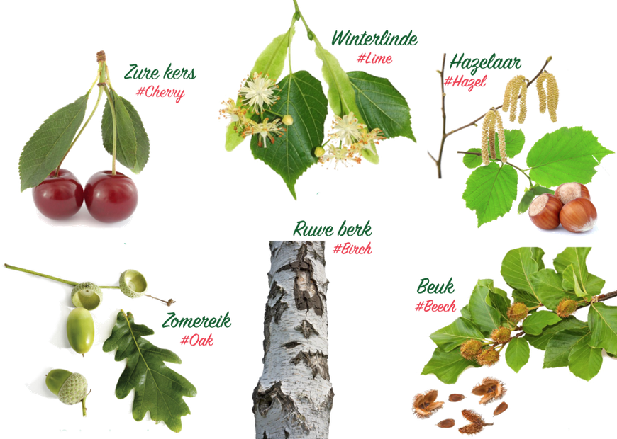 Zes soorten GrowApp European Phenology Campaign