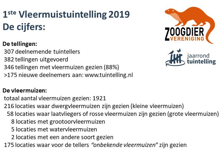 Resultaten eerste vleermuistuintelling 2019