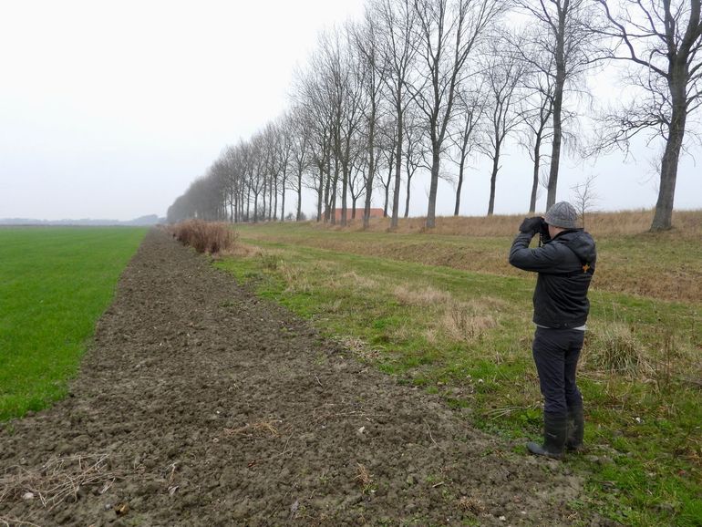 Tellingen van weidevogels leveren niet alleen data op, maar vergroten ook de betrokkenheid van boeren en vrijwilligers