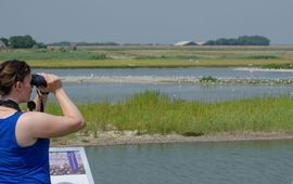 Hans Peeters (voor Vogelbescherming) excursie vogelen
