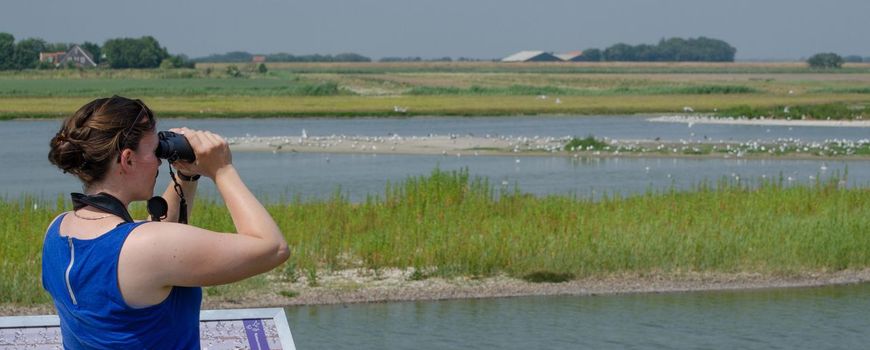 Nature Today |  Bird Week has begun, and nature lovers are roaming all over the Netherlands