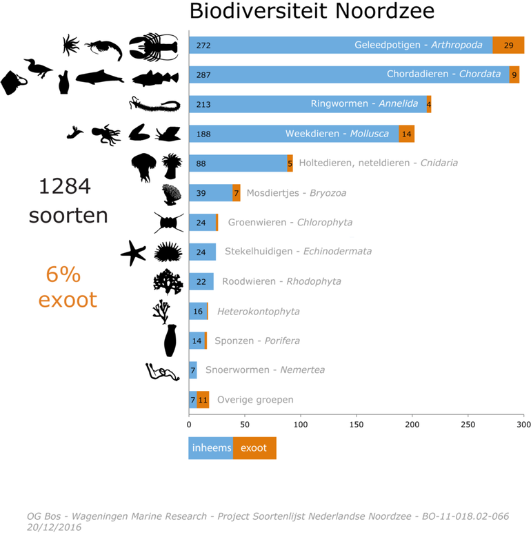 Soorten in de Nederlandse Noordzee, aantal per klasse