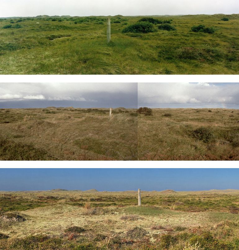 Vergelijking 1993-2001 en 2018 Vallei van het Veen Vlieland