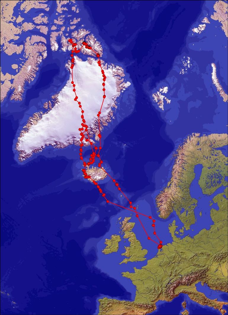 Paula's route tijdens de retourvlucht Waddenzee-Ellesmere Island v.v. De noordelijke route over Groenland en langs de oostkant van IJsland is de non-stop terugvlucht. De rode stippen zijn de posities die via satellieten naar het NIOZ werden teruggemeld
