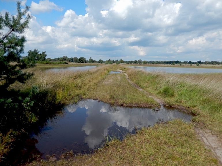 De Kampina is één van de gebieden die in het boek worden besproken