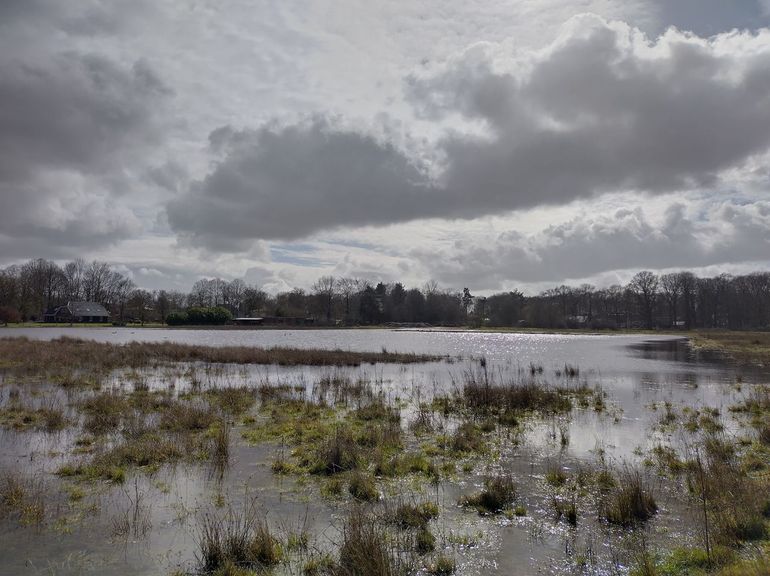 Een voormalig voetbalveld, nu onderdeel van natuurgebied de Zumpe. Binnen 2 jaar is het volledig onderdeel van de natte natuur