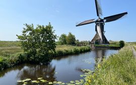 Saskia Klumpers, Naturalis De kronkelende riviertjes en de boezems van Kinderdijk vormen het karakteristieke polderlandschap van Alblasserwaard.