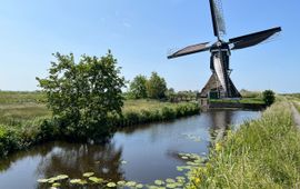 De kronkelende riviertjes en de boezems van Kinderdijk vormen het karakteristieke polderlandschap van Alblasserwaard.