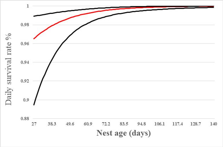 Daily survival rates of red-billed tropicbird chicks in 2018-2019