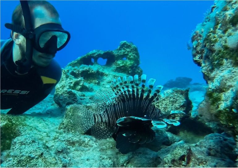 Onderzoeker Davide Bottacini observeert koraalduivels en visdiversiteit rondom Cyprus