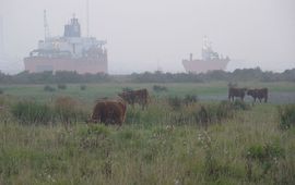Leo Linnartz, ARK Hooglander Rozenbrug