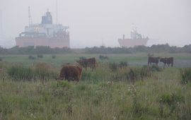 Hooglander Rozenbrug