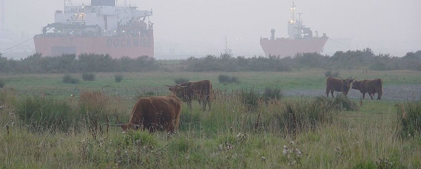 Hooglander Rozenbrug