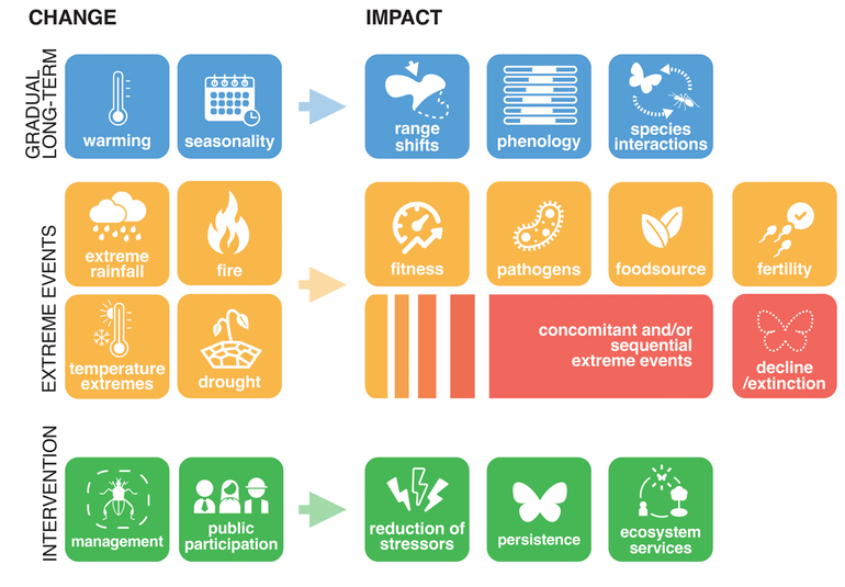 Climate-change impacts on insects can be categorised into two major groups: gradual long-term change and extreme events that will increase in frequency and severity. Interventions include formal mitigation of change through policy and public approaches which in turn help to reduce impacts in various ways