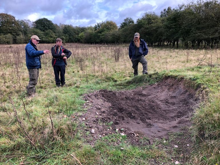 Sand bath patch of the European bison