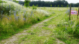 Idylle Hartje Groen - primair