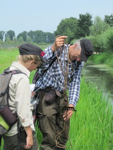 FLORON-medewerkers Gabriëlle en Ruud onderzoeken welke planten er op de oever en in het water groeien