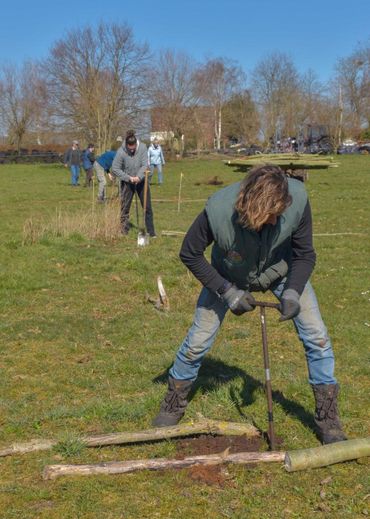 Wilgenstaken planten met vrijwilligers