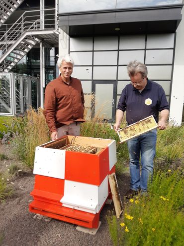 Imker Dirk van der Linden en BartJan Fernhout 