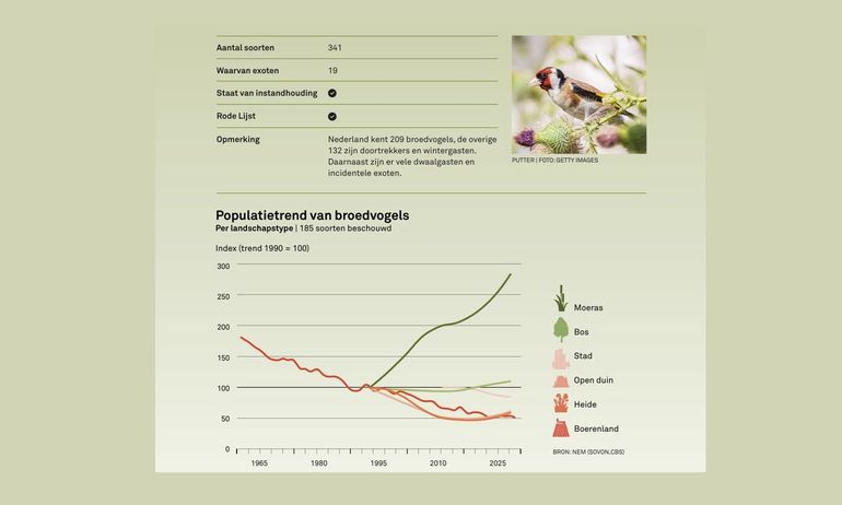 Populatietrend van broedvogels in de laatste decennia
