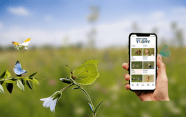Vlindervoorspelling Nature Today-app