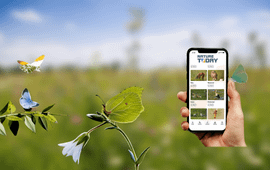 Nature Today Vlindervoorspelling Nature Today-app
