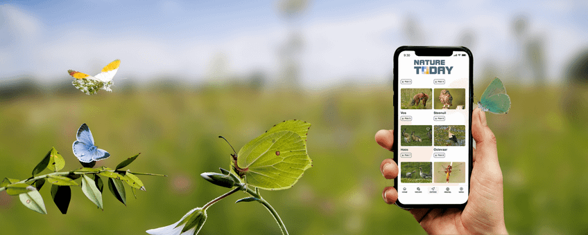 Vlindervoorspelling Nature Today-app