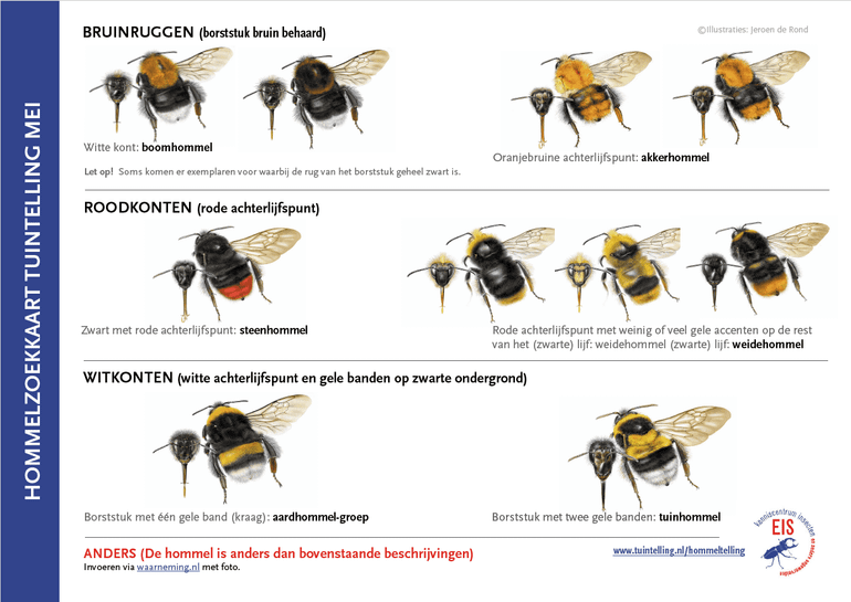 Zoekkaart voor de tuintelling in het weekend van 29 tot en met 31 mei 2026