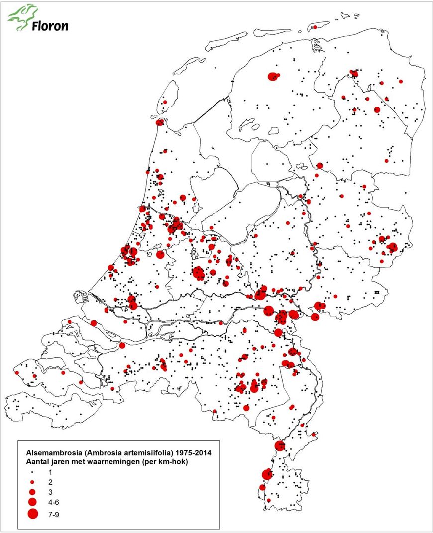 NDFF, FloravanNederland.nl, De Natuurkalender Wageningen UR, Waarneming.nl Hotspots van Alsemambrosia in Nederland op basis van aantal jaren met waarnemingen in de periode 1975 t/m 2014